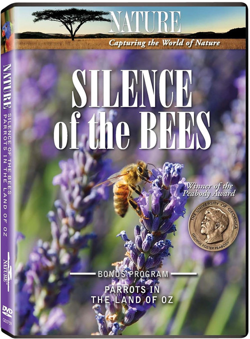 Silence of the Bees (2008) poster