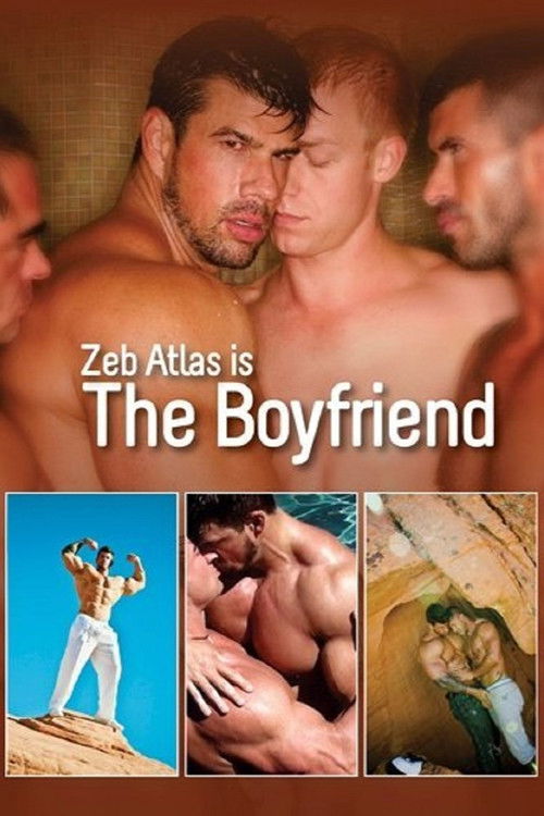 The Boyfriend (2011) poster