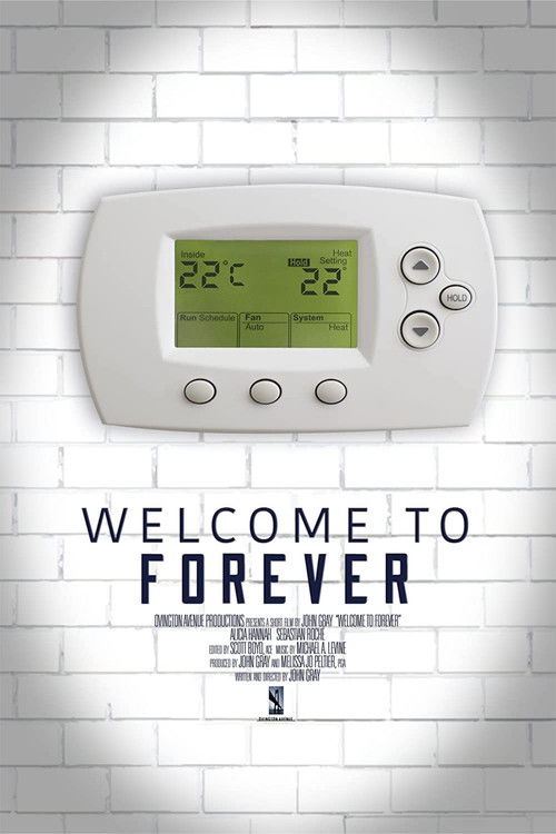 Welcome to Forever (2021) poster