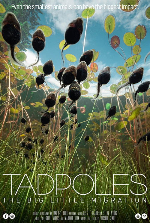 Tadpoles: The Big Little Migration (2020) poster