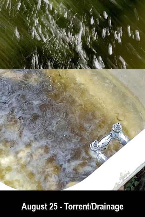 August 25 - Torrent/Drainage (2020) poster