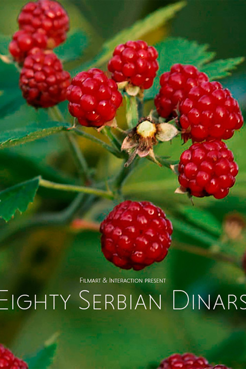 Eighty Serbian Dinars (2019) poster