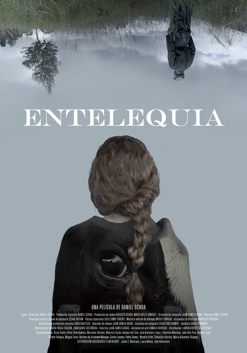 Entelechy (2021) poster
