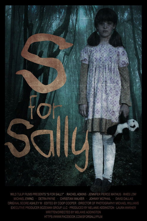 S for Sally (2013) poster
