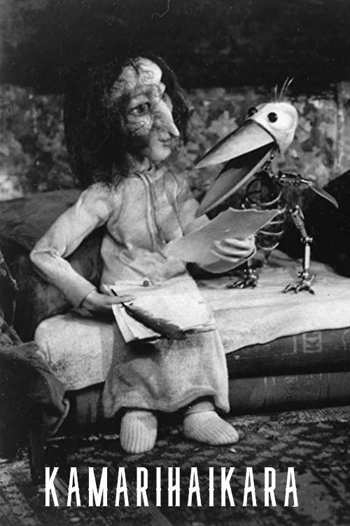 The Chamber Stork (1994) poster