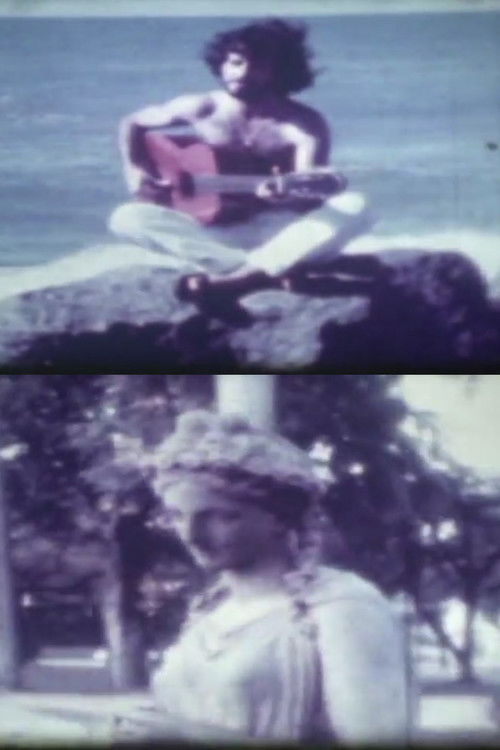 Inventário de um Feudalismo Cultural Nordestino (1978) poster