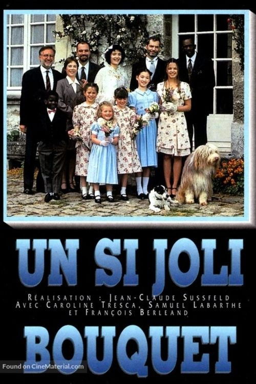 Un si joli bouquet (1995) poster