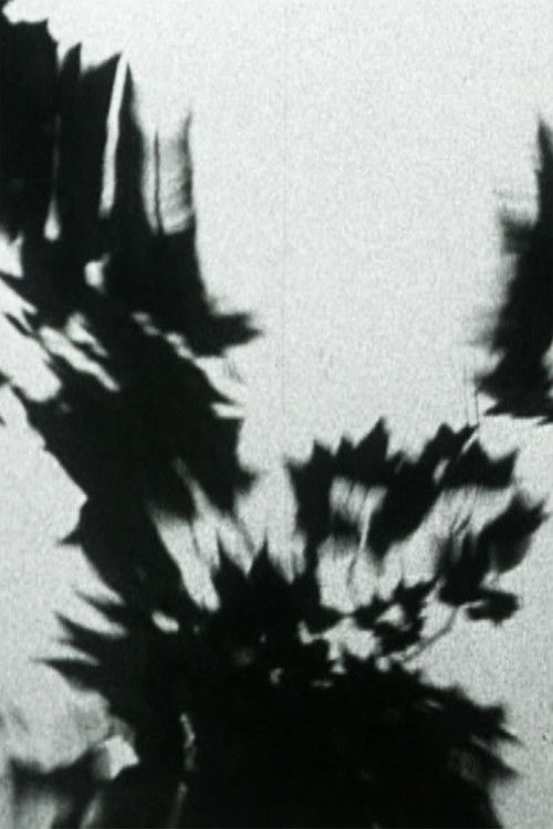 Sheller Shares Her Secret (1994) poster