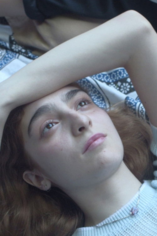 Brand New Everything (2024) poster