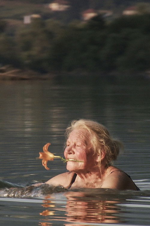 Wszystko jest możliwe (2013) poster