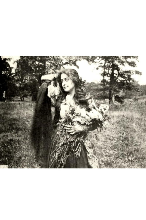 The Little Minister (1913) poster