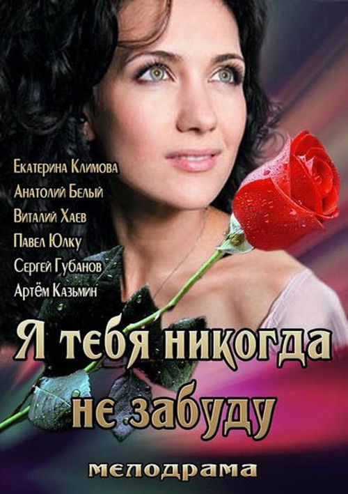 Я тебя никогда не забуду (2013) poster