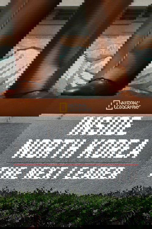 Inside North Korea: The Next Leader (2020) poster