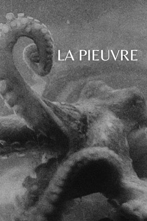 La pieuvre (1928) poster