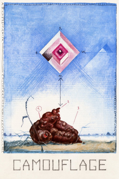 Barwy ochronne (1977) poster