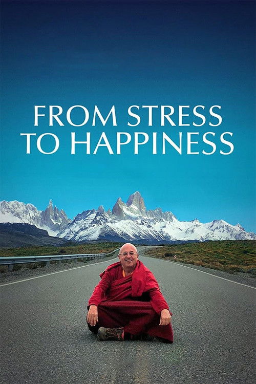 From Stress to Happiness (2020) poster