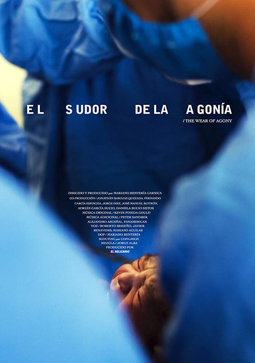 The Wear of Agony (2014) poster