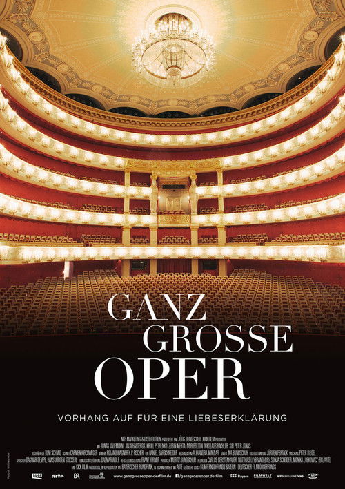 Ganz große Oper (2017) poster