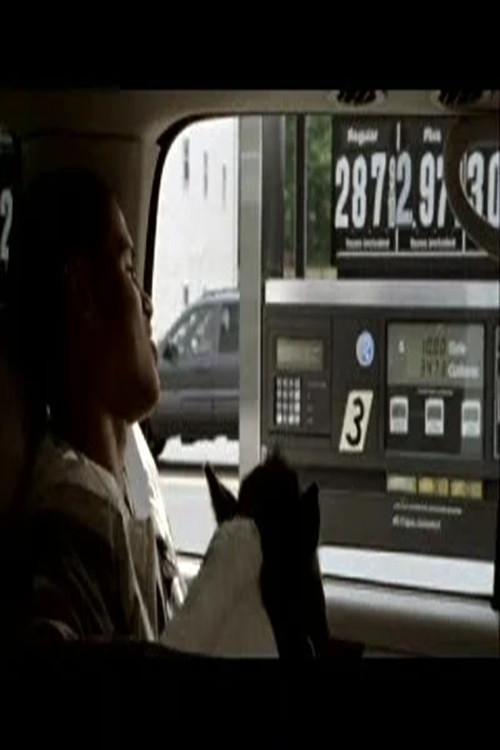 Force 1 TD (2008) poster