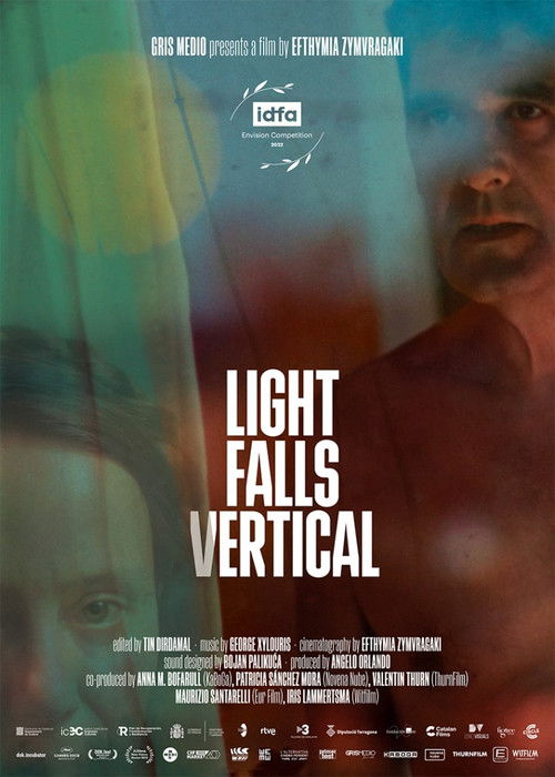 Light Falls Vertical (2022) poster
