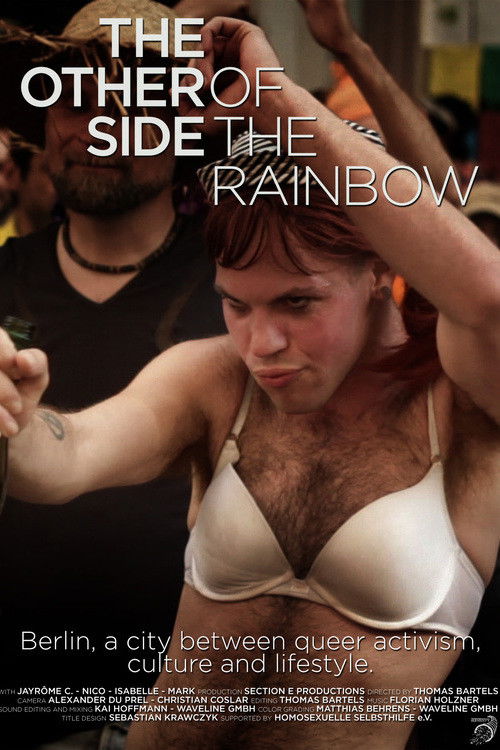 The Other Side of the Rainbow (2012) poster