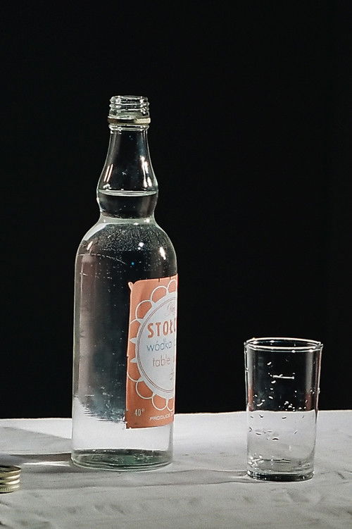 Studium (1977) poster