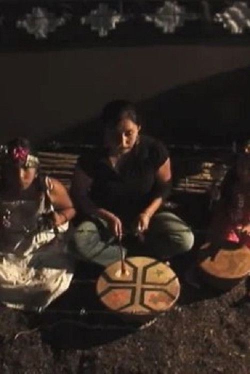 Kalül Trawün (Reunión Del Cuerpo) (2012) poster