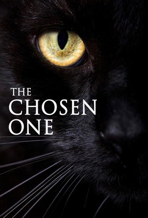 A Escolhida (2011) poster