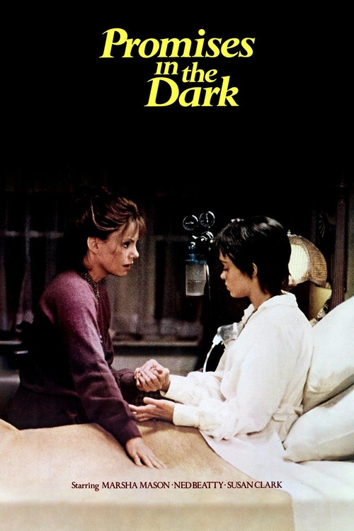 Promises in the Dark (1979) poster
