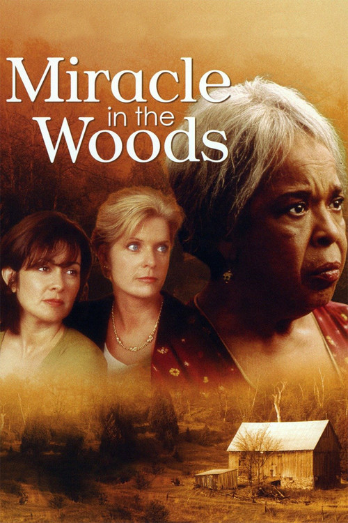 Miracle in the Woods (1997) poster