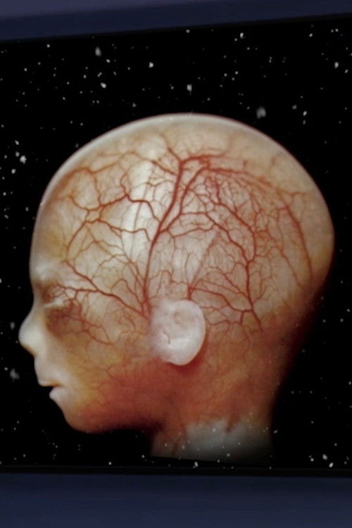 Ariadne (2019) poster