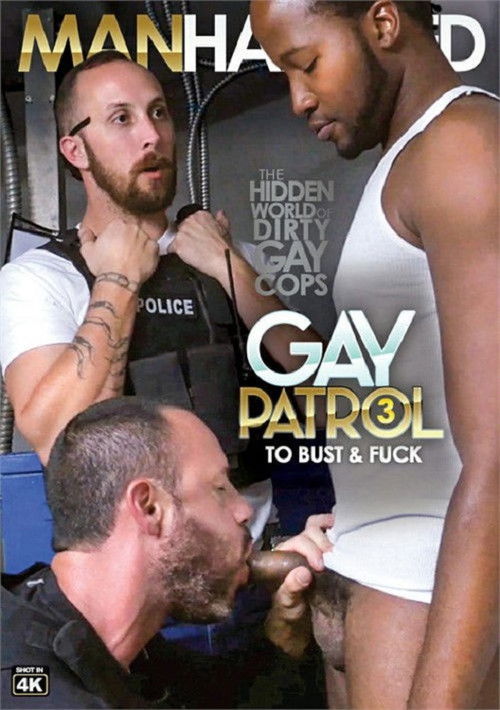 Gay Patrol 3 (2020) poster
