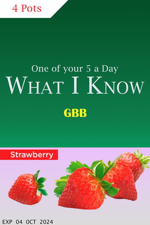 What I know (2024) poster