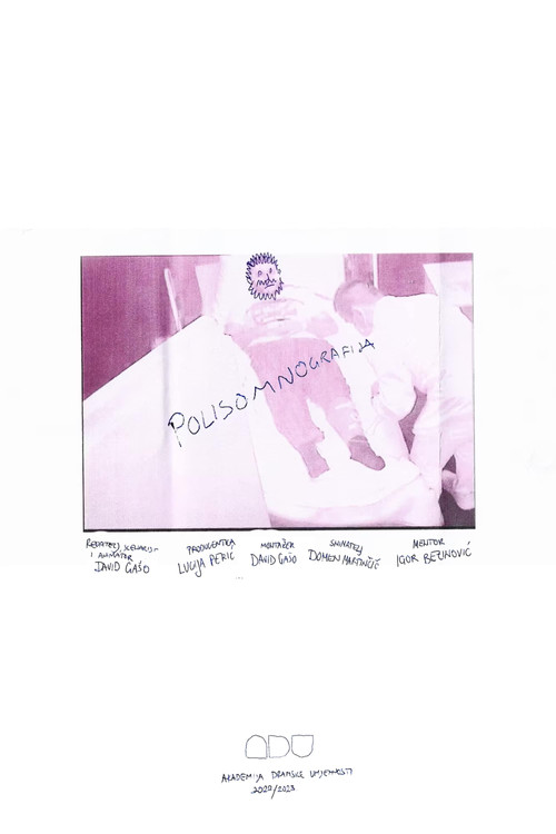 Sleep Study (2024) poster