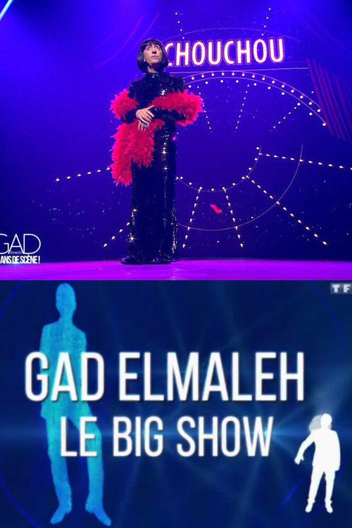 Gad Elmaleh - Le Big Show (2015) poster
