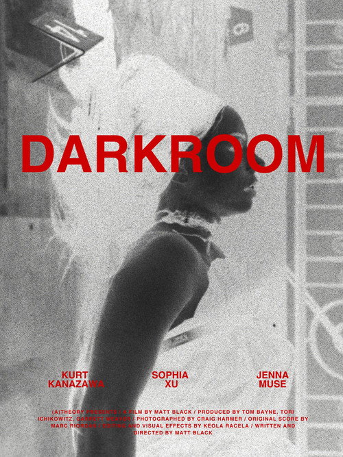 Darkroom (2026) poster