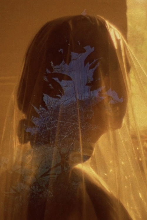 a hook but no fish (2017) poster