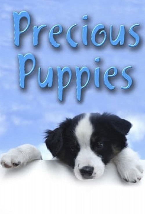 Precious Puppies (2003) poster