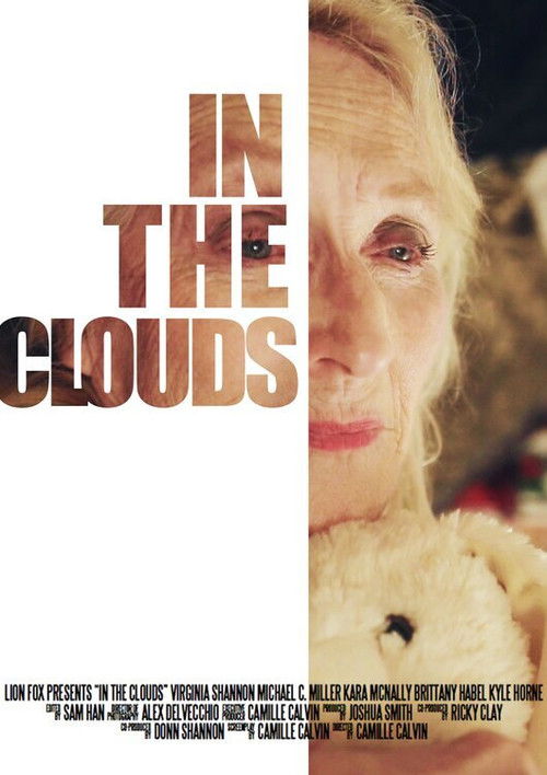 In the Clouds (2014) poster