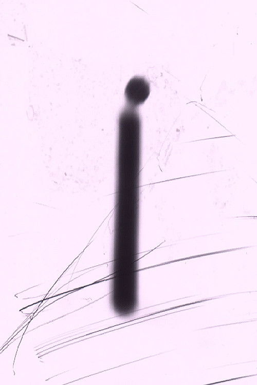 CANDLEFILM (2019) poster