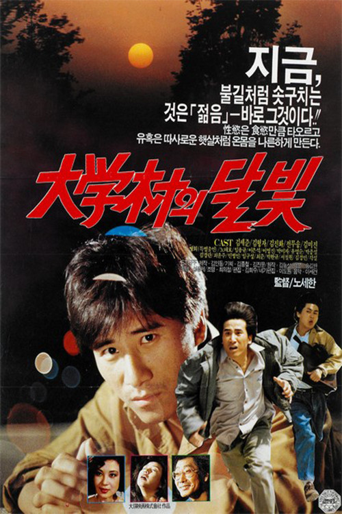 Moonlight in the University Town (1990) poster
