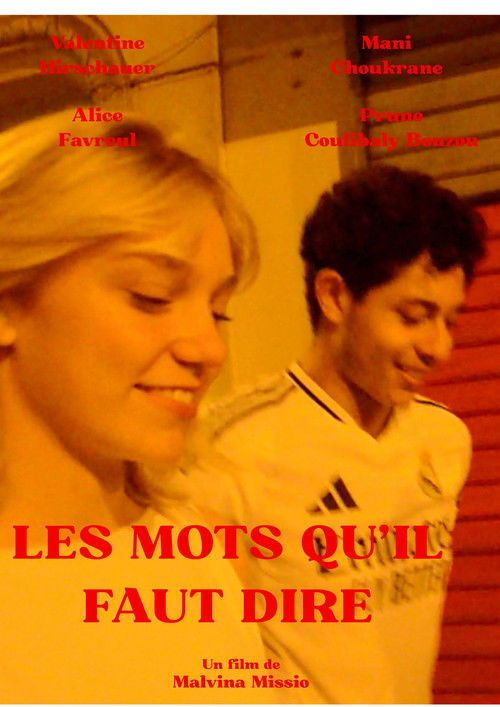 Les mots qu'il faut dire (2025) poster
