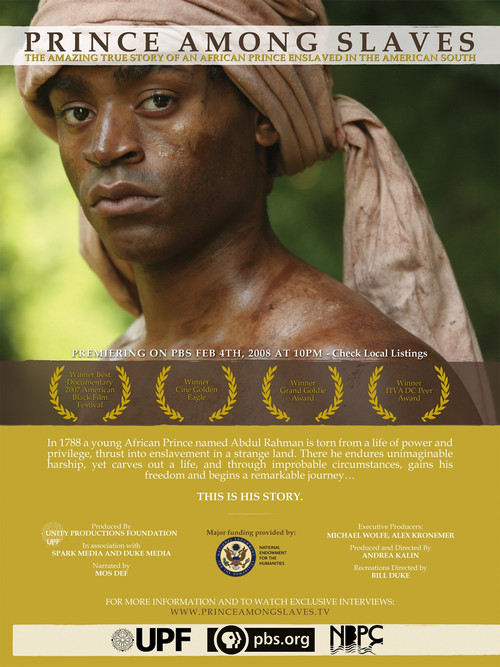 Prince Among Slaves (2008) poster