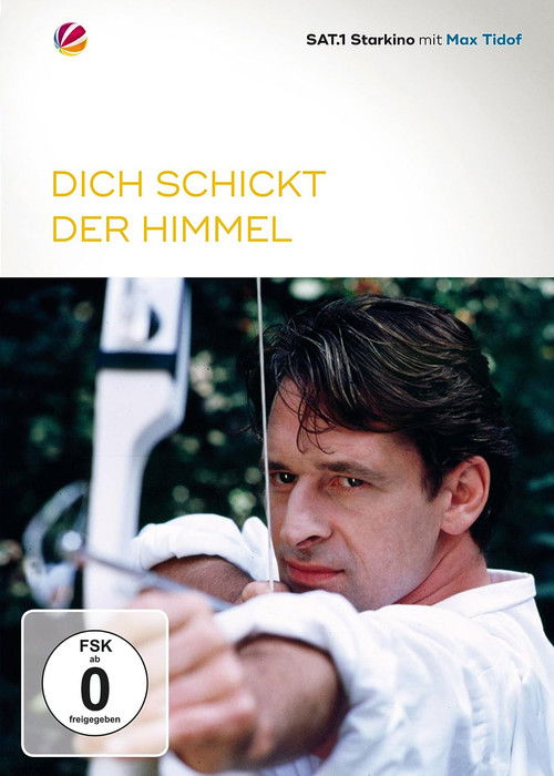 Dich schickt der Himmel (2001) poster
