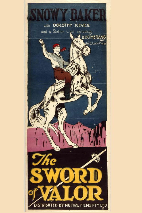 The Sword of Valor (1924) poster