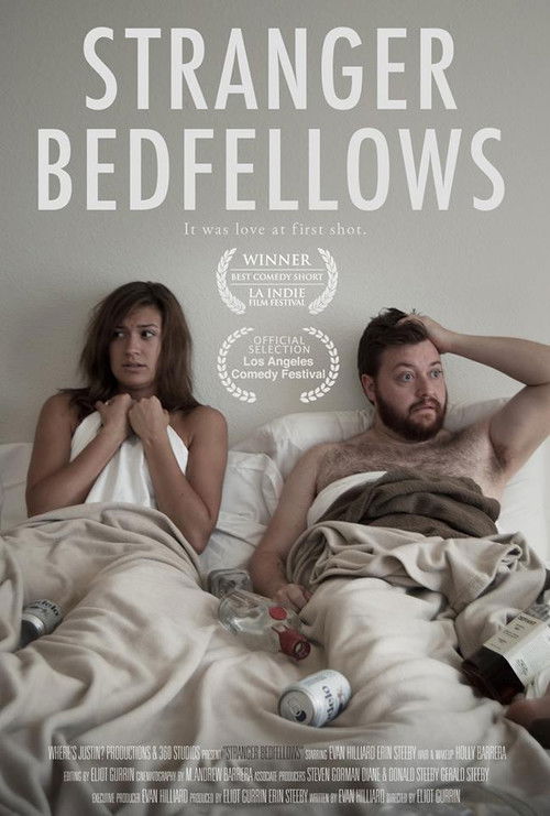 Stranger Bedfellows poster
