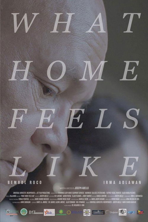 What Home Feels Like (2017) poster