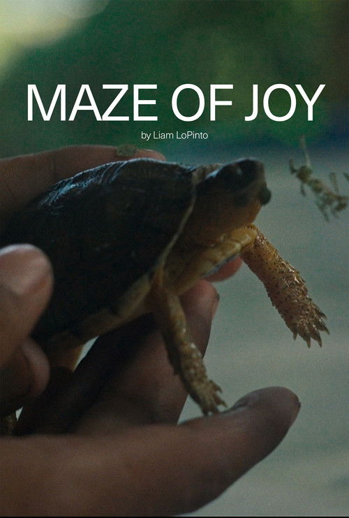 Maze of Joy (2025) poster