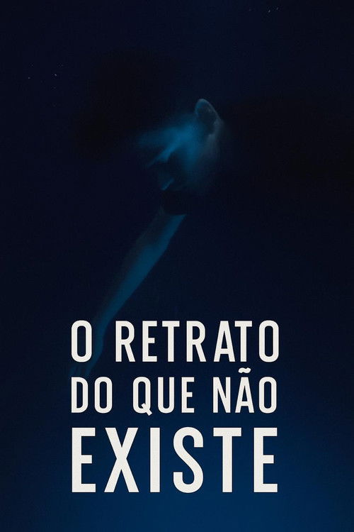 The Portrait of What Doesn't Exist poster