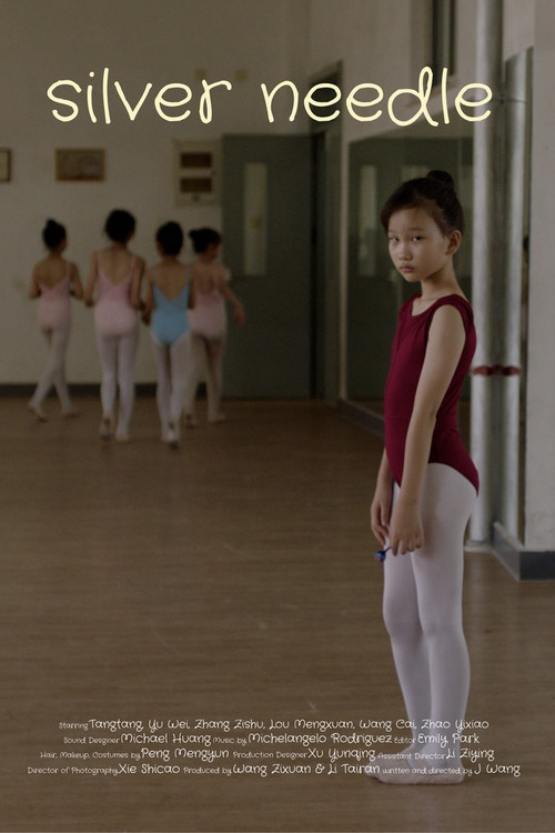 Silver Needle (2025) poster